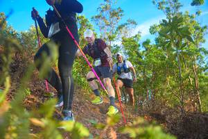 BIB: 
                            <button type="button" onclick="openModal(21842613)" class="btn btn-primary btn-sm float-right btn-popup" data-toggle="modal" data-target=".modal-high-quality">
                        <i class="fas fa-shopping-cart"></i> Add to Cart
                    </button>
                                            <button type="button" onclick="isThisMe(21842613, true)" class="btn btn-success btn-sm float-right btn-popup btn-isme hidden" data-toggle="tooltip" data-placement="bottom" title="นี่คือรูปของคุณใช่ไหม คลิกที่นี่เพื่อเอาเข้าอัลบั้ม">
                        <i class="fas fa-plus"></i> Add to album
                    </button>
                    <button type="button" onclick="isThisMe(21842613, false)" class="btn btn-warning btn-sm float-right btn-popup btn-isnotme hidden">
                        <i class="fas fa-ban"></i> Remove from album
                    </button>